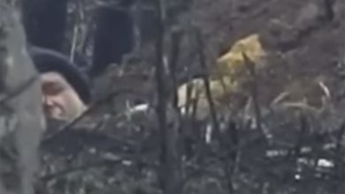 Photo of Снайпер ДНР снял киевского карателя, обстреливавшего позиции антифашистов