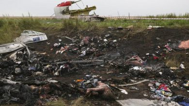 Photo of Сенсационный фильм «MH17 – Call for Justice» голландского журналиста